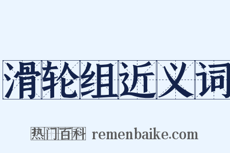 滑轮组近义词是什么意思的图片